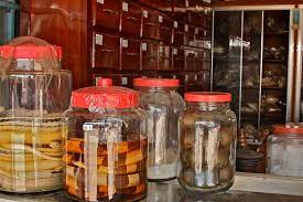 pangolin oil  insights into wild animal use at “Marché des Fétiches” traditional medicine market, South Africa